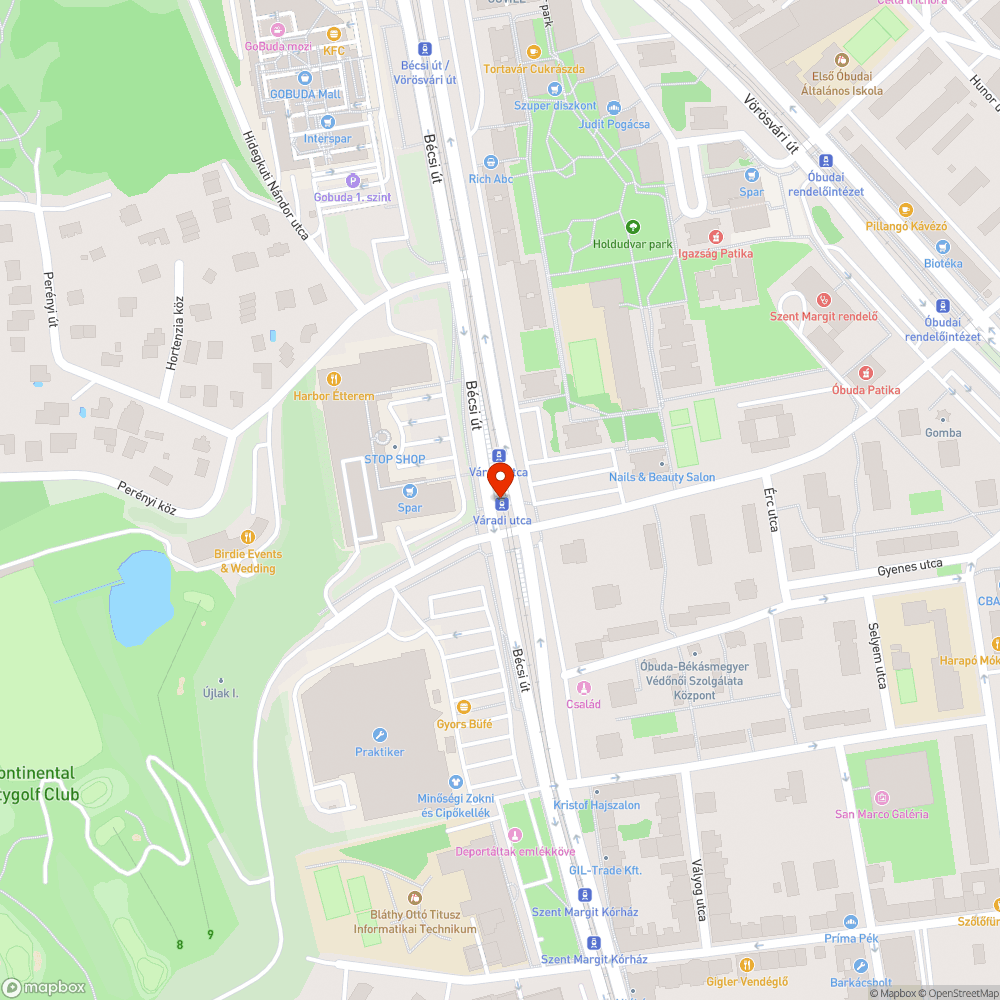 Eltömődött víznyelő bejelentés helye