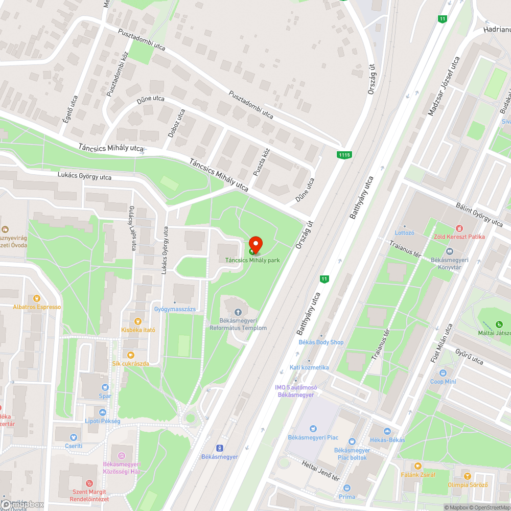 Kiszáradt fák a Táncsics parkban bejelentés helye