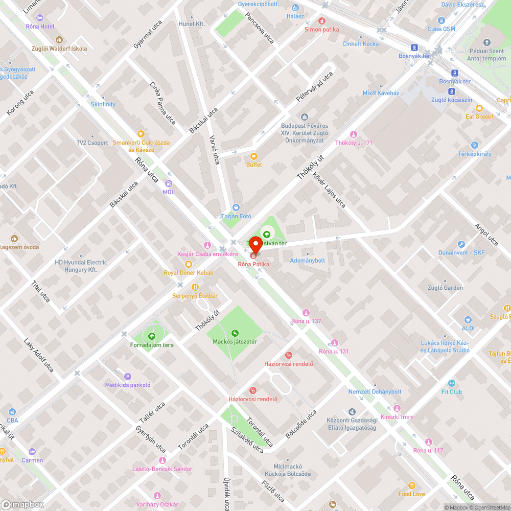 Gyógyszertár környezete elhanyagolt, mocskos, nem higiénikus bejelentés helye