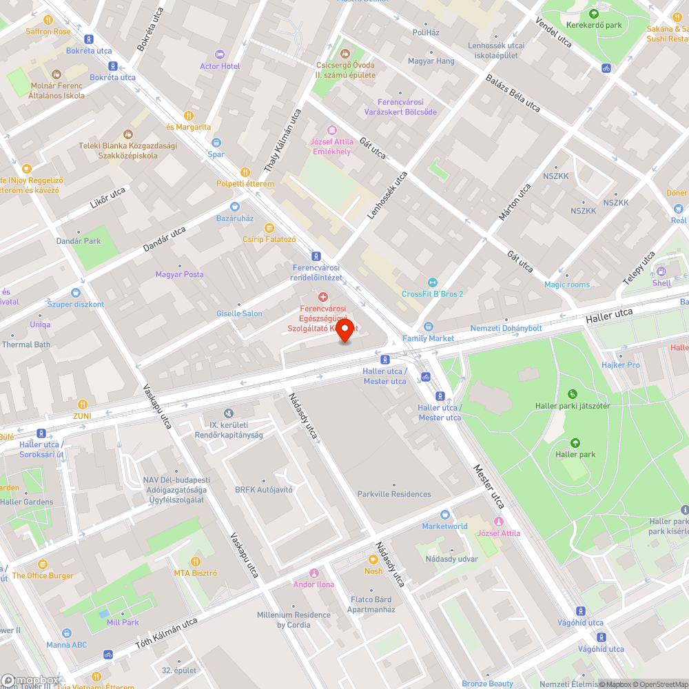 Kiszáradt fa a Haller utcán bejelentés helye