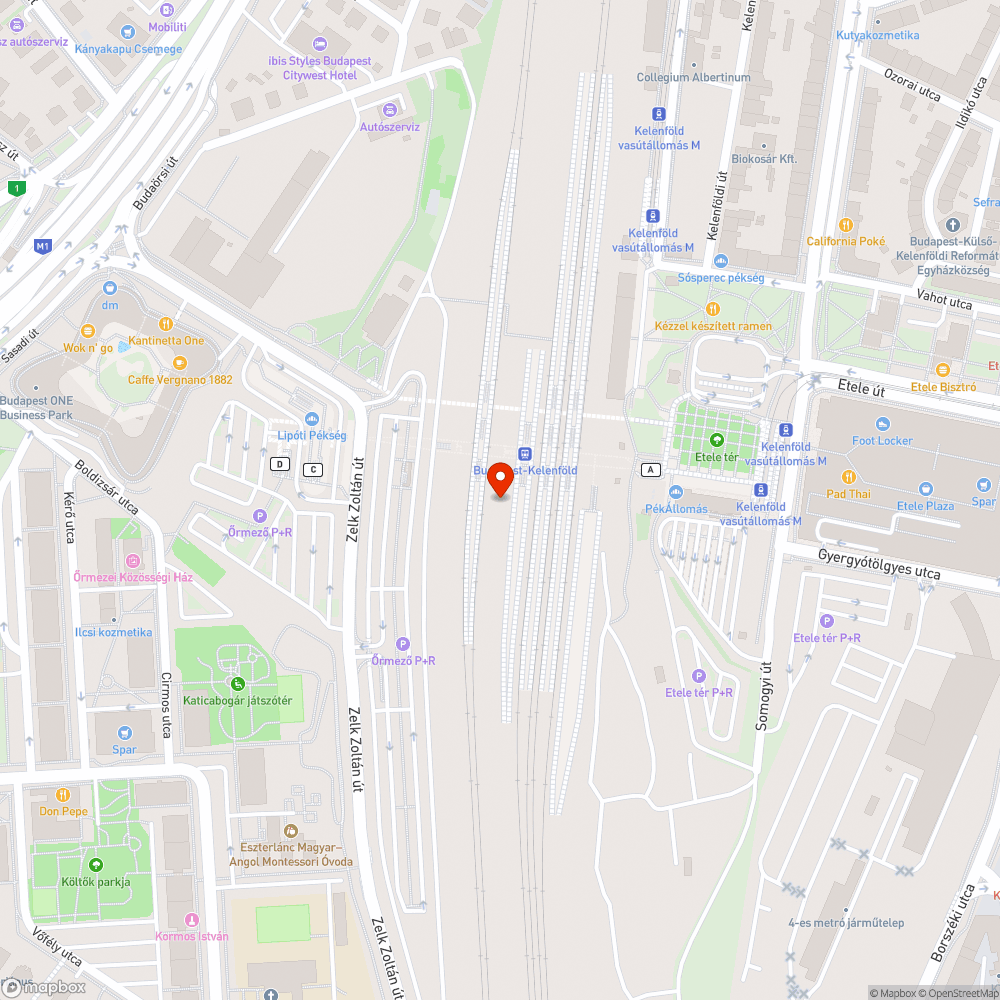 Gondozatlan, kiszáradt növények a peronon bejelentés helye