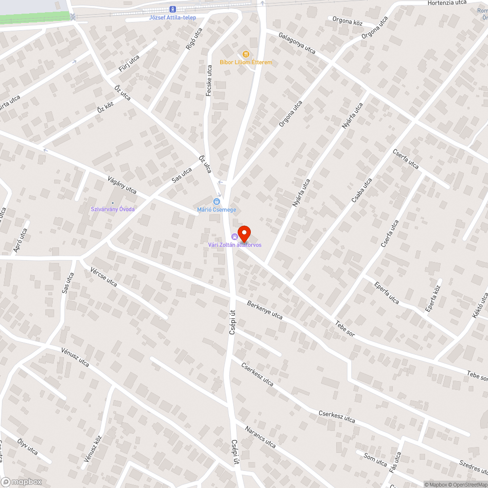 Balesetveszélyes járda a buszmegállónál bejelentés helye