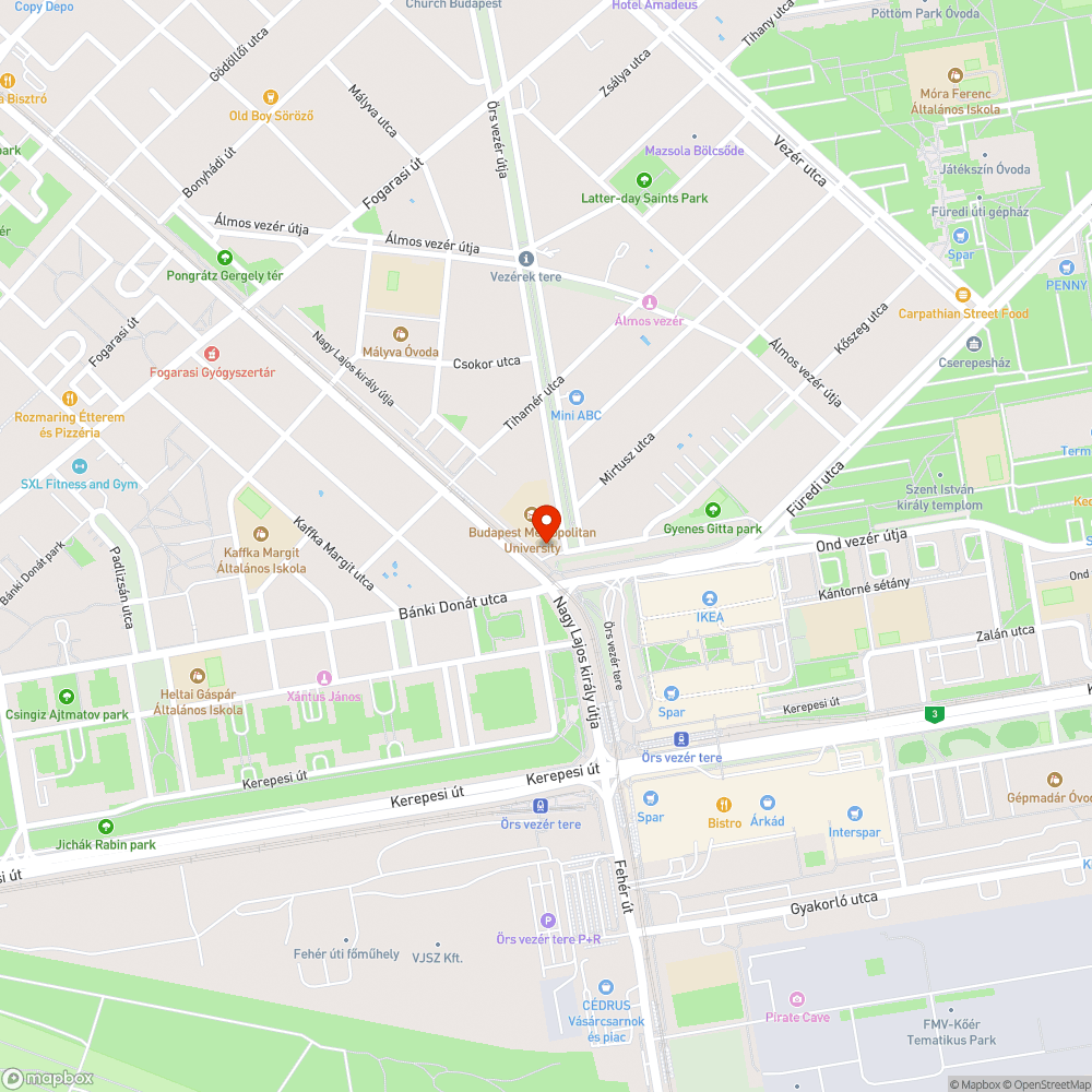 A kivágott fa tönkjén kinőtt bozót elfoglalja a bicikliút nagyobbik felét bejelentés helye