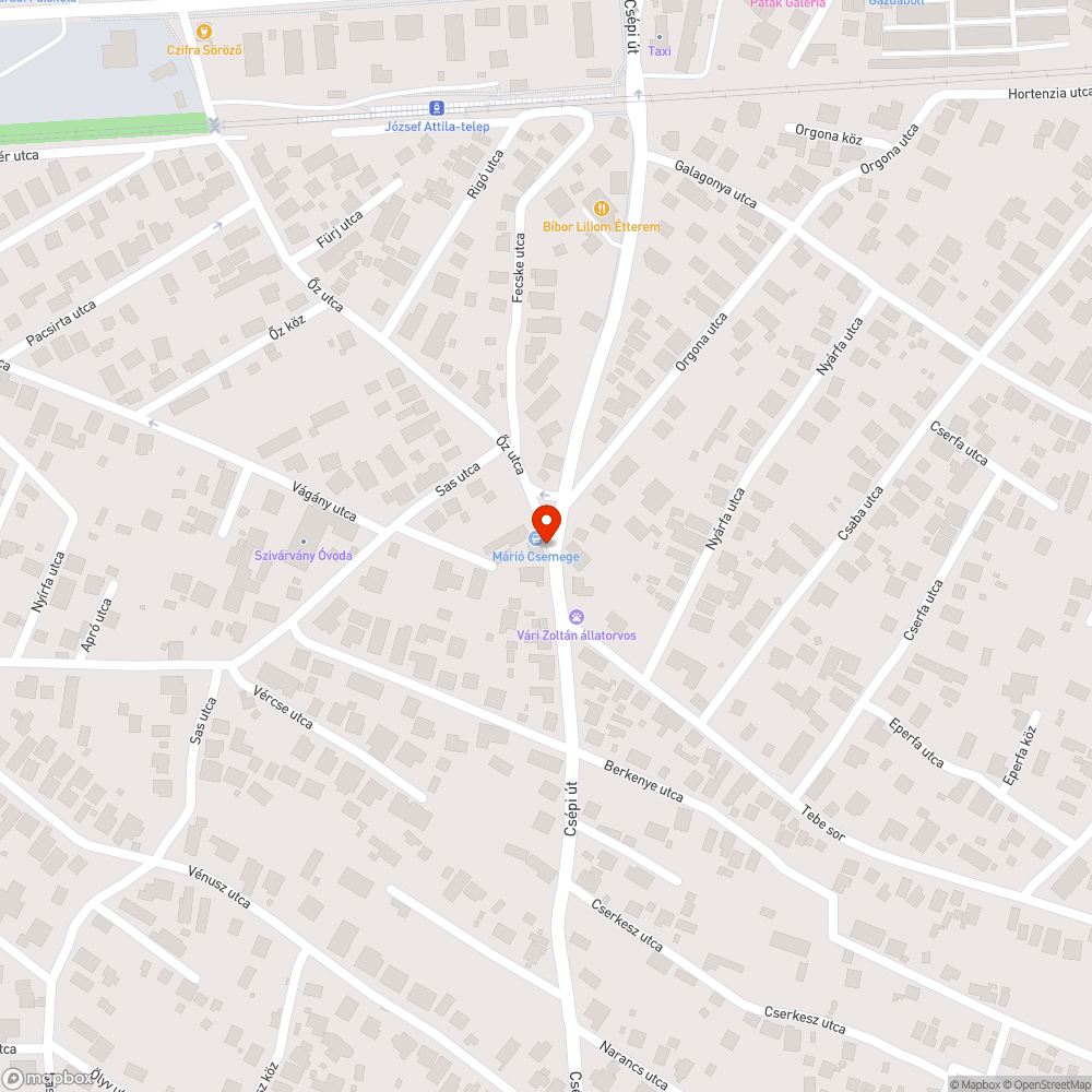 Csikkek a.szemetes körül bejelentés helye