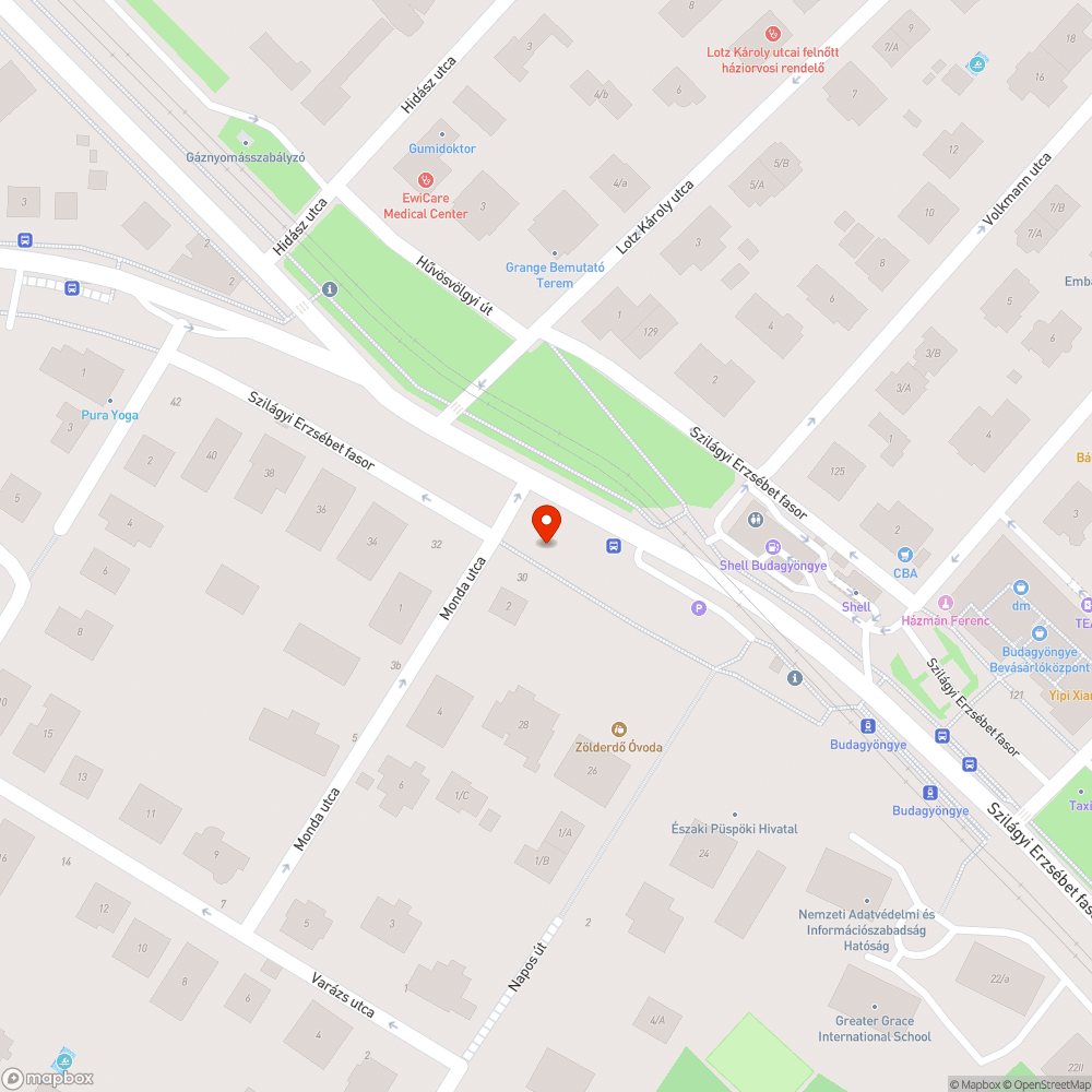 Közvilágítást eltakaró fák a Szilágyi Erzsébet fasoron bejelentés helye