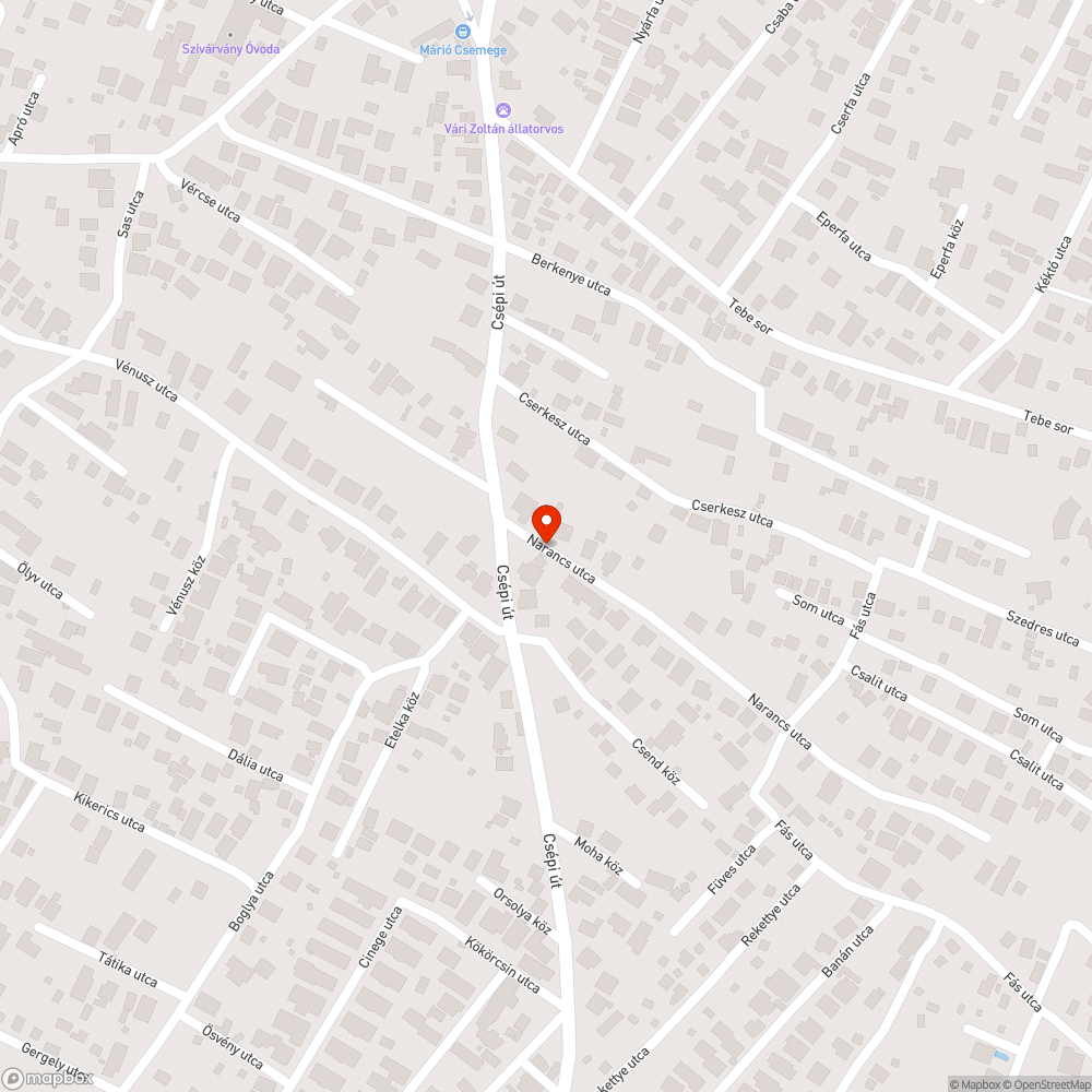 Szemét és gaz a ház előtt bejelentés helye