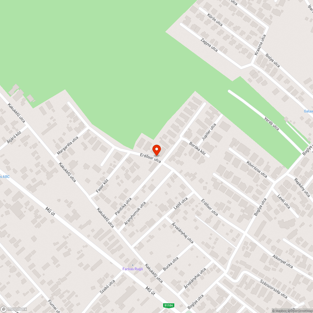 Bokrok miatt a kanyar nem belátható bejelentés helye