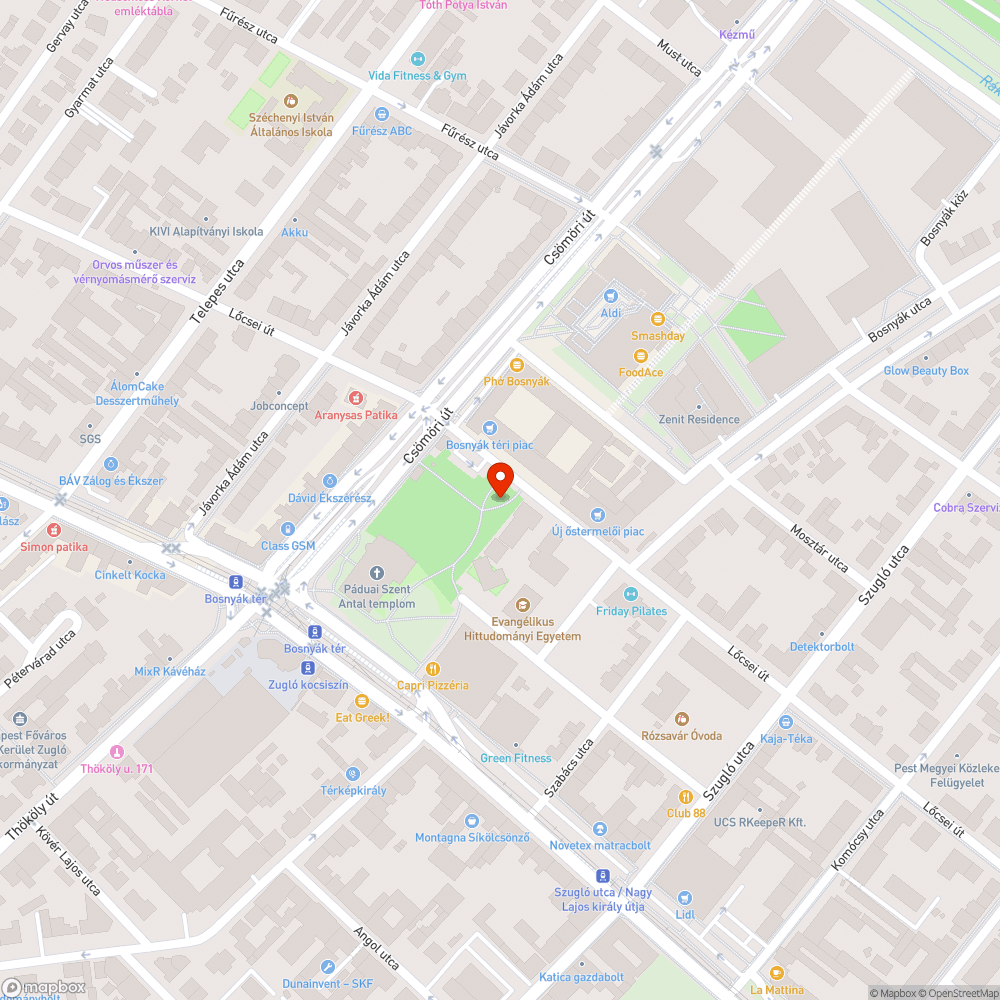 Bolgárkertészek szobor körüli terület elhanyagolt bejelentés helye