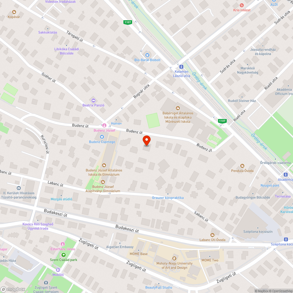 Hiányzó fa bejelentés helye