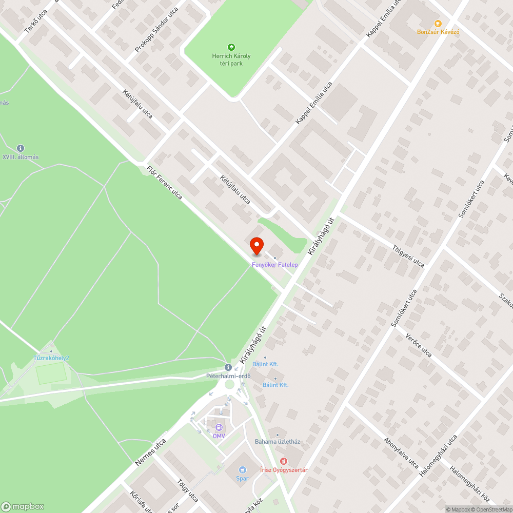 Szemét az erdő bejáratánál bejelentés helye