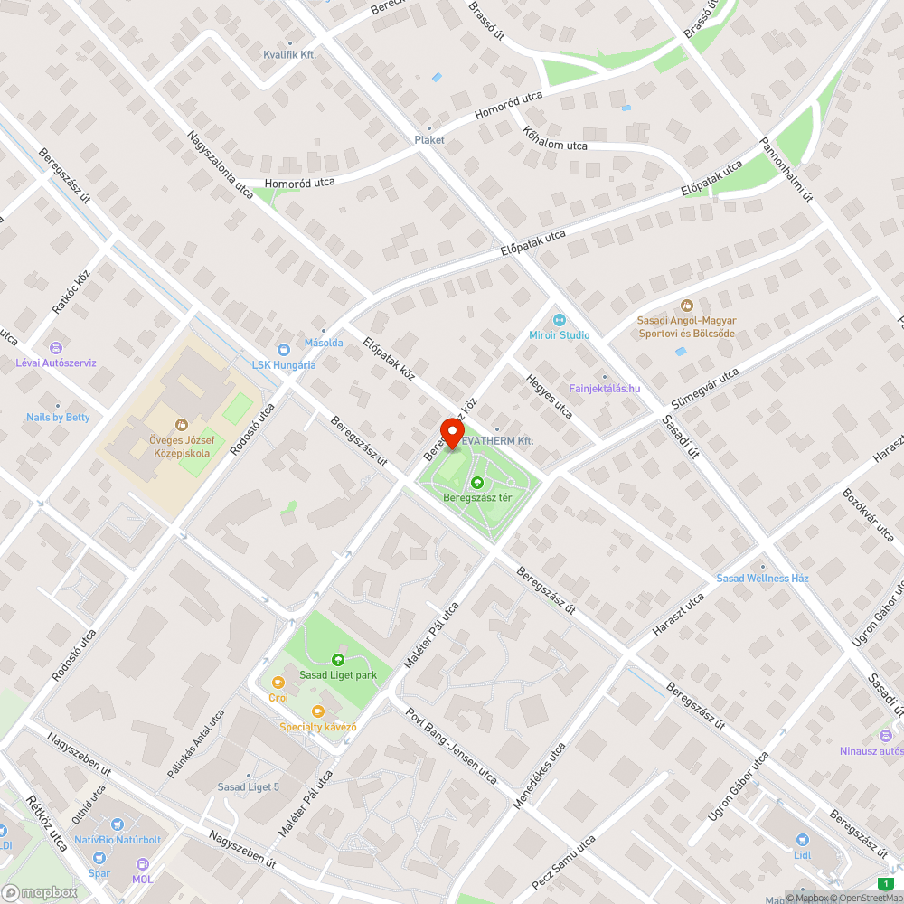 Beregszász tér parlagfű bejelentés helye