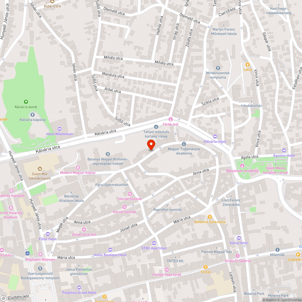 Burjánzó növényzet a járdán bejelentés helye