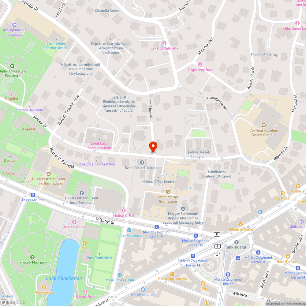 Sitt, ágak bejelentés helye