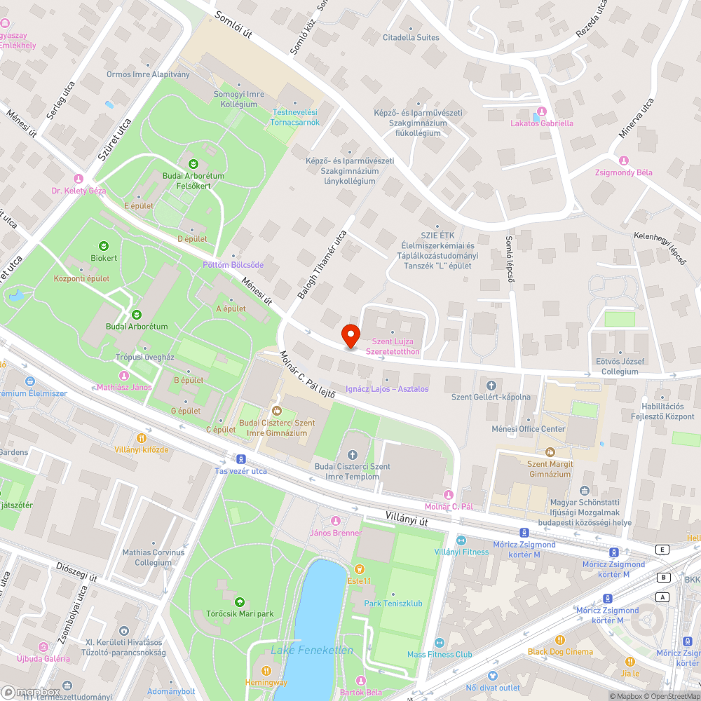 Lomtalanítás maradéka bejelentés helye