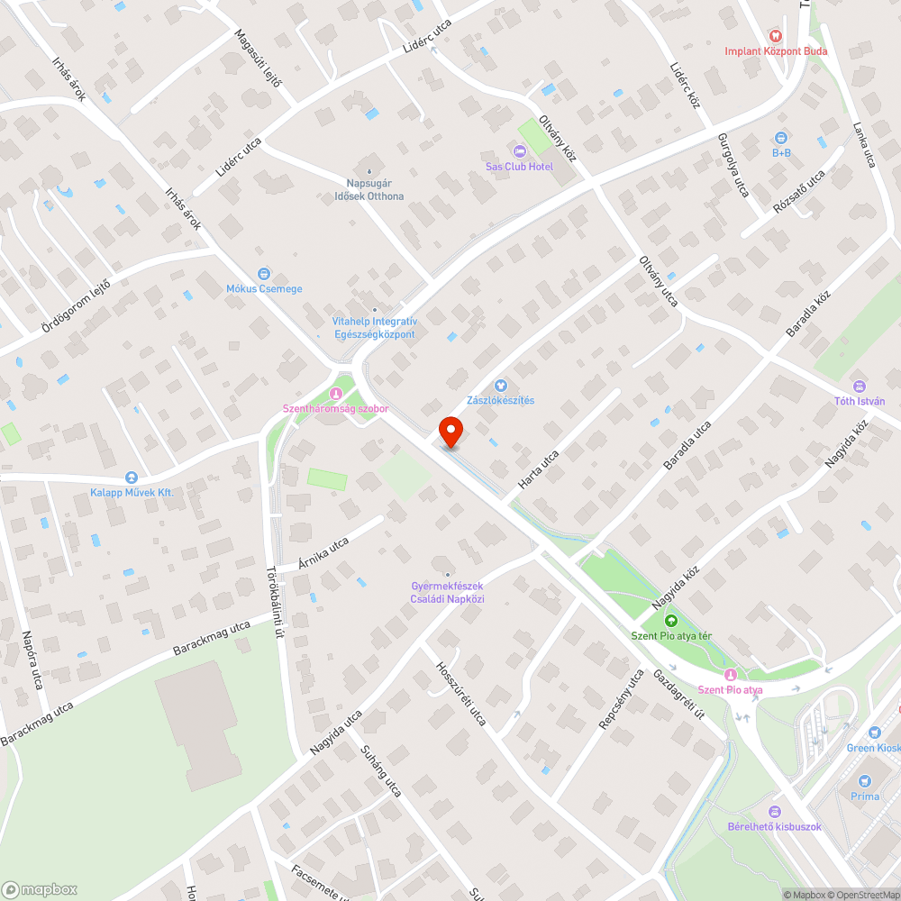 Rengeteg hordalék és burjánzó gaz a csatornában bejelentés helye