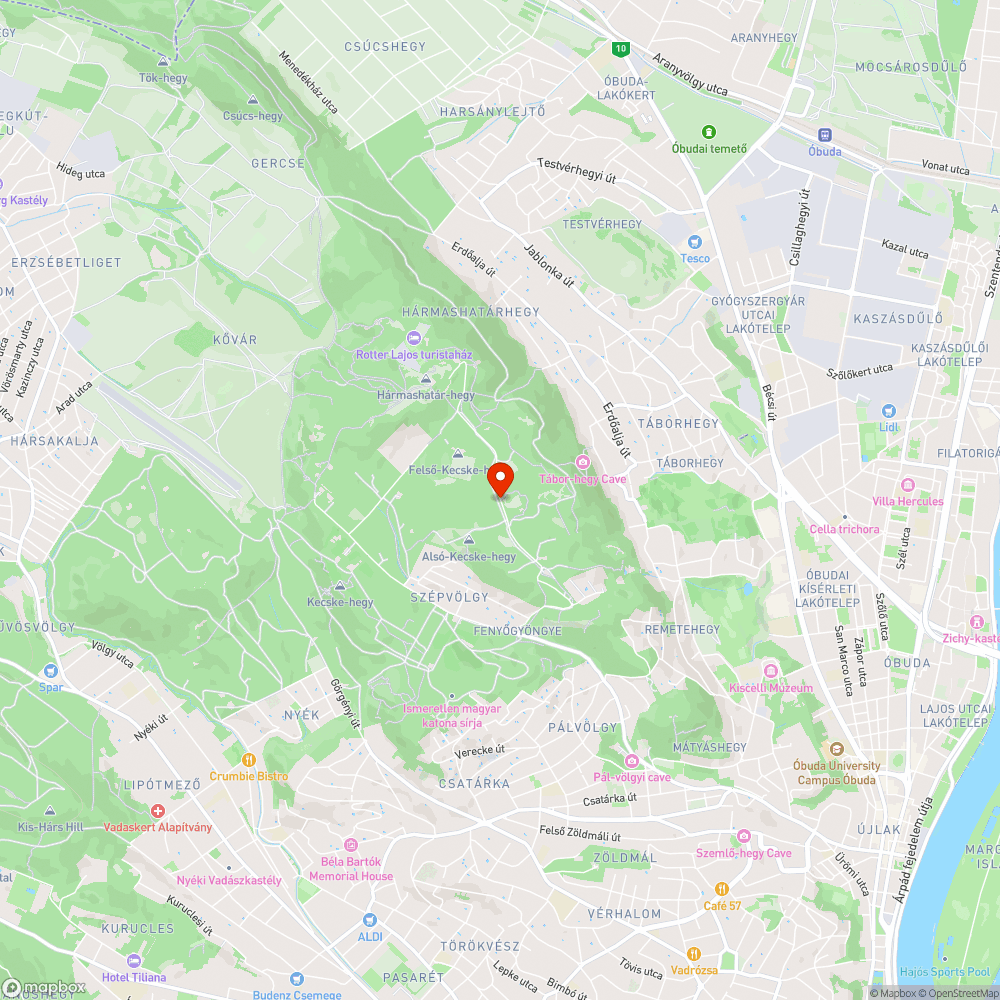 Kidőlt fa bejelentés helye