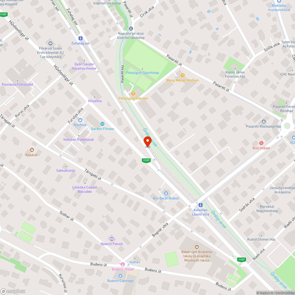 Rendezetlen, szemetes környezet bejelentés helye