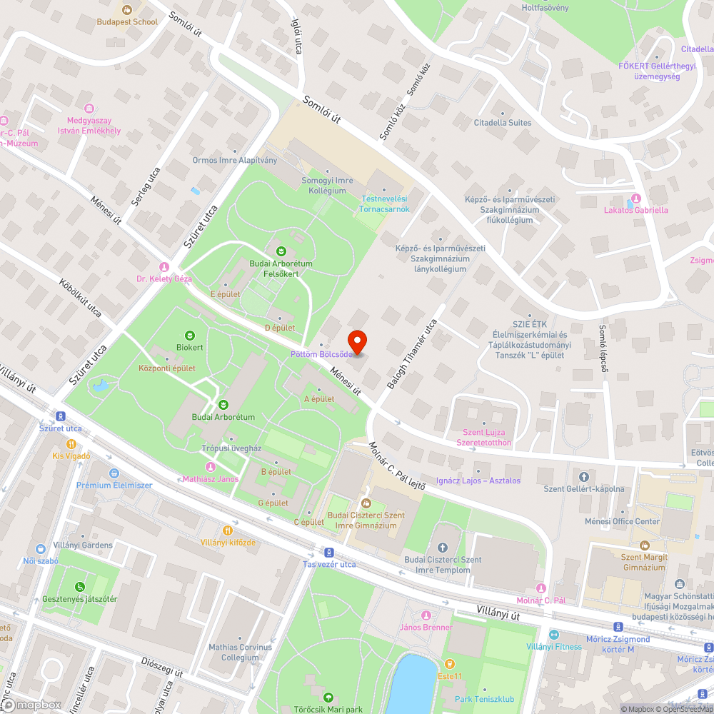 Otthagyott aszfaltkupac bejelentés helye