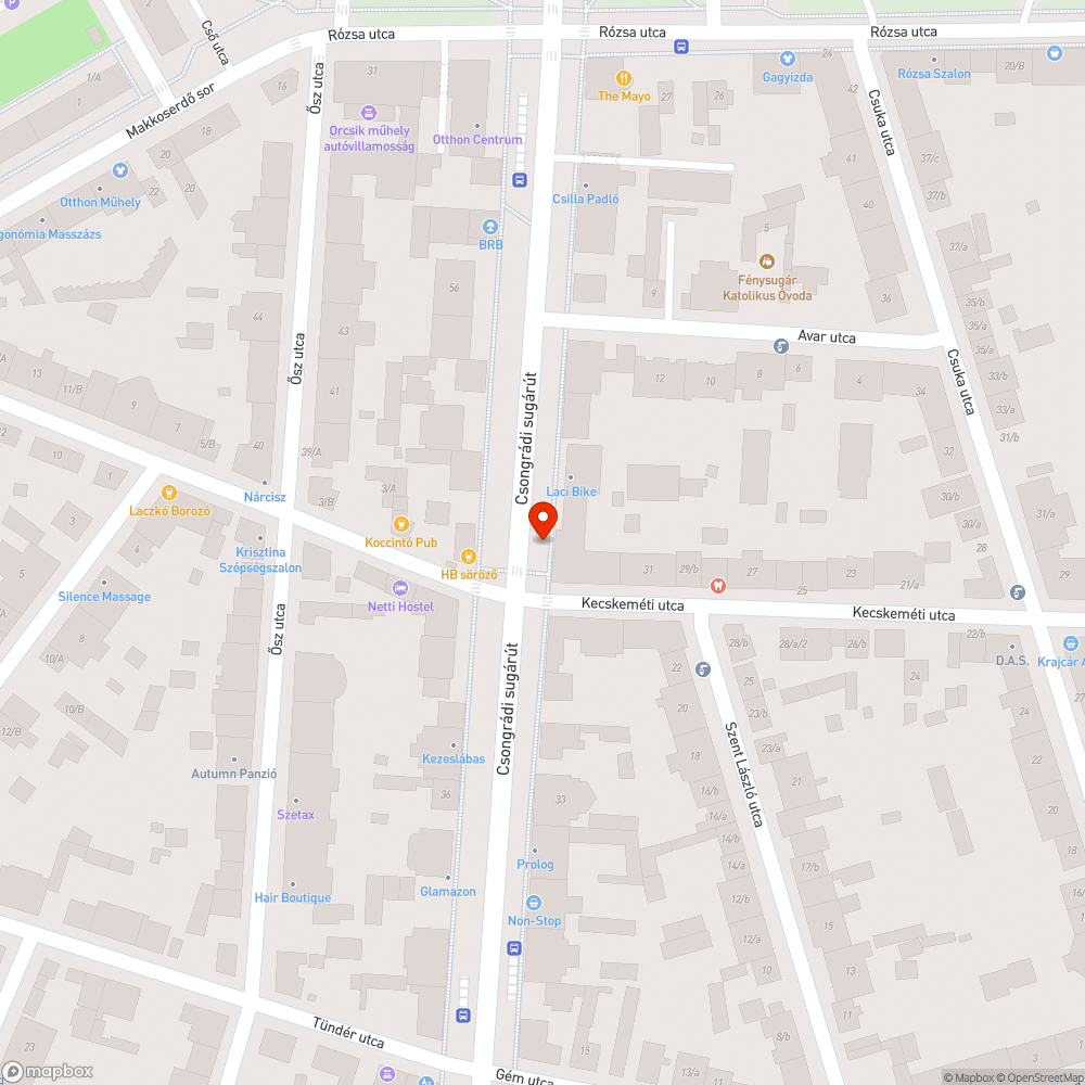 Kiszáradt fa - Csongrádi sgt. 41. bejelentés helye