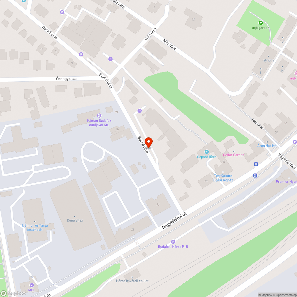 A járdát benőtte a gaz bejelentés helye