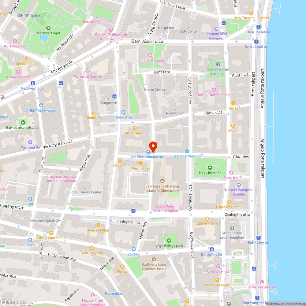 Bomlásnak indult galamb tetem a járdán bejelentés helye