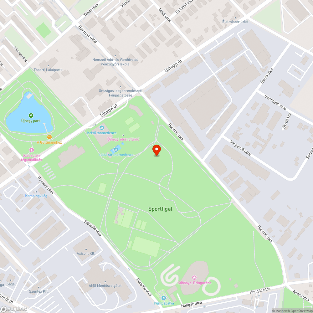 Kiszáradt, elpusztult nyírfa, a kőbányai Sportliget belső részén bejelentés helye