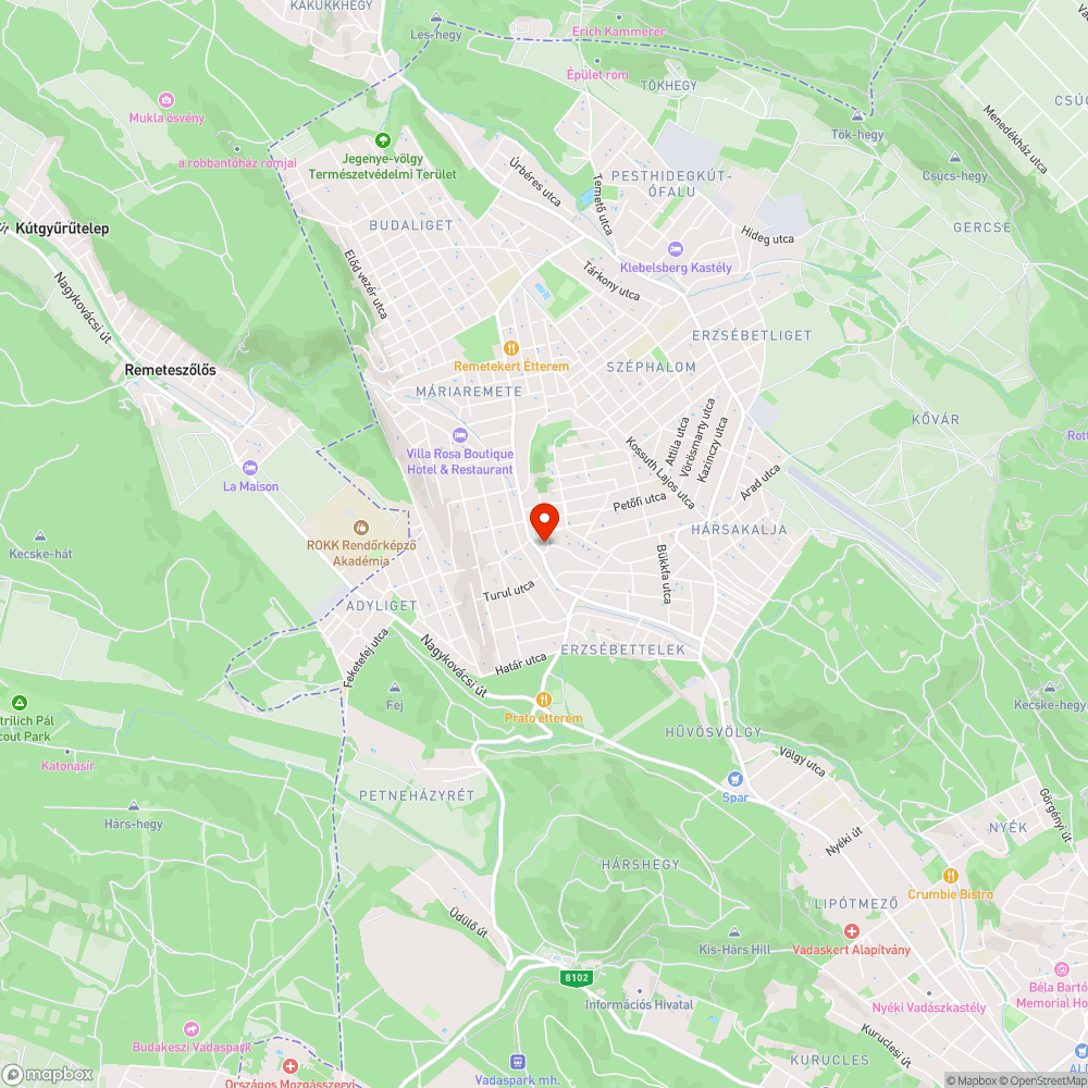 Nagyra nőtt parlagfüves utcaszakasz bejelentés helye