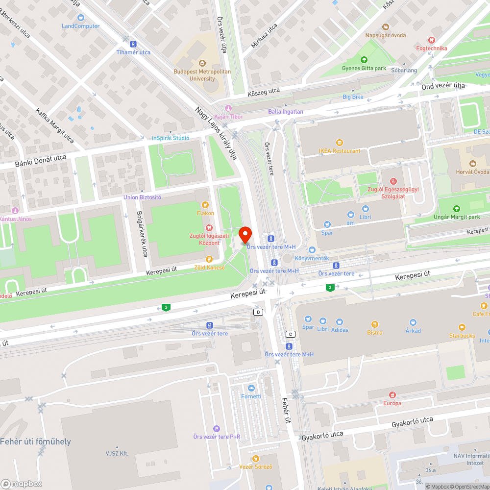 Hatalmas kiszáradt fa egy nagyon forgalmas helyen bejelentés helye