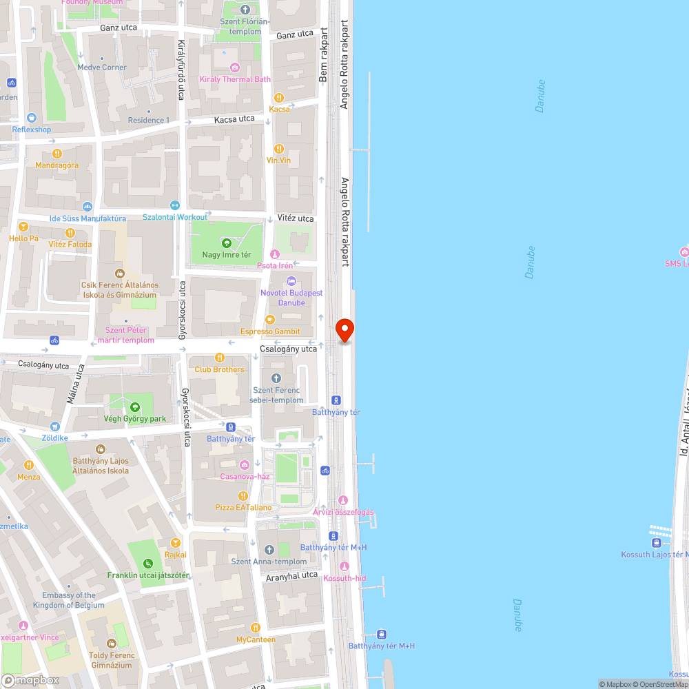 Kiszáradt fák a Bem rakparton bejelentés helye