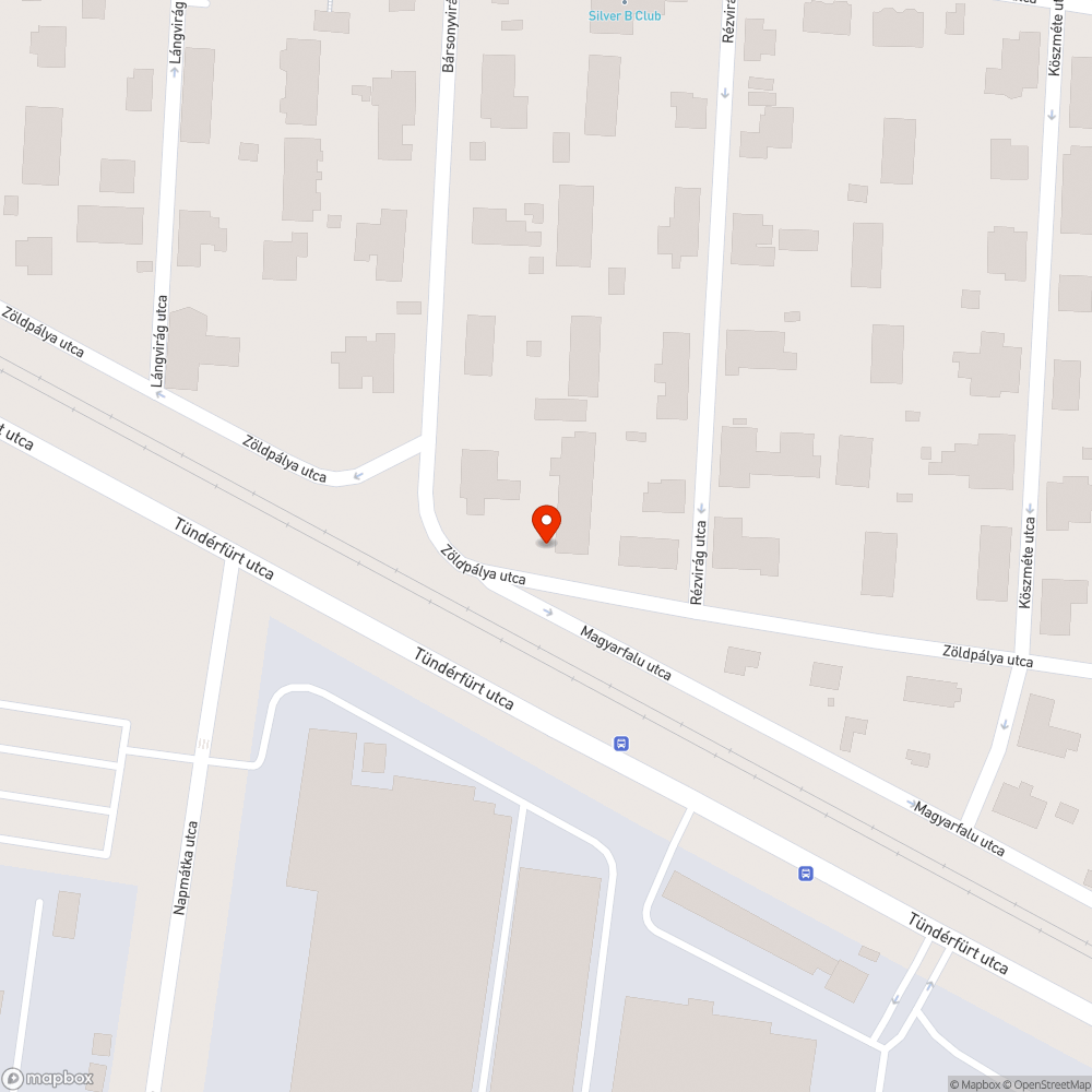 Vihar után 12 nappal kintfelejtett zöldhulladék 3. bejelentés helye