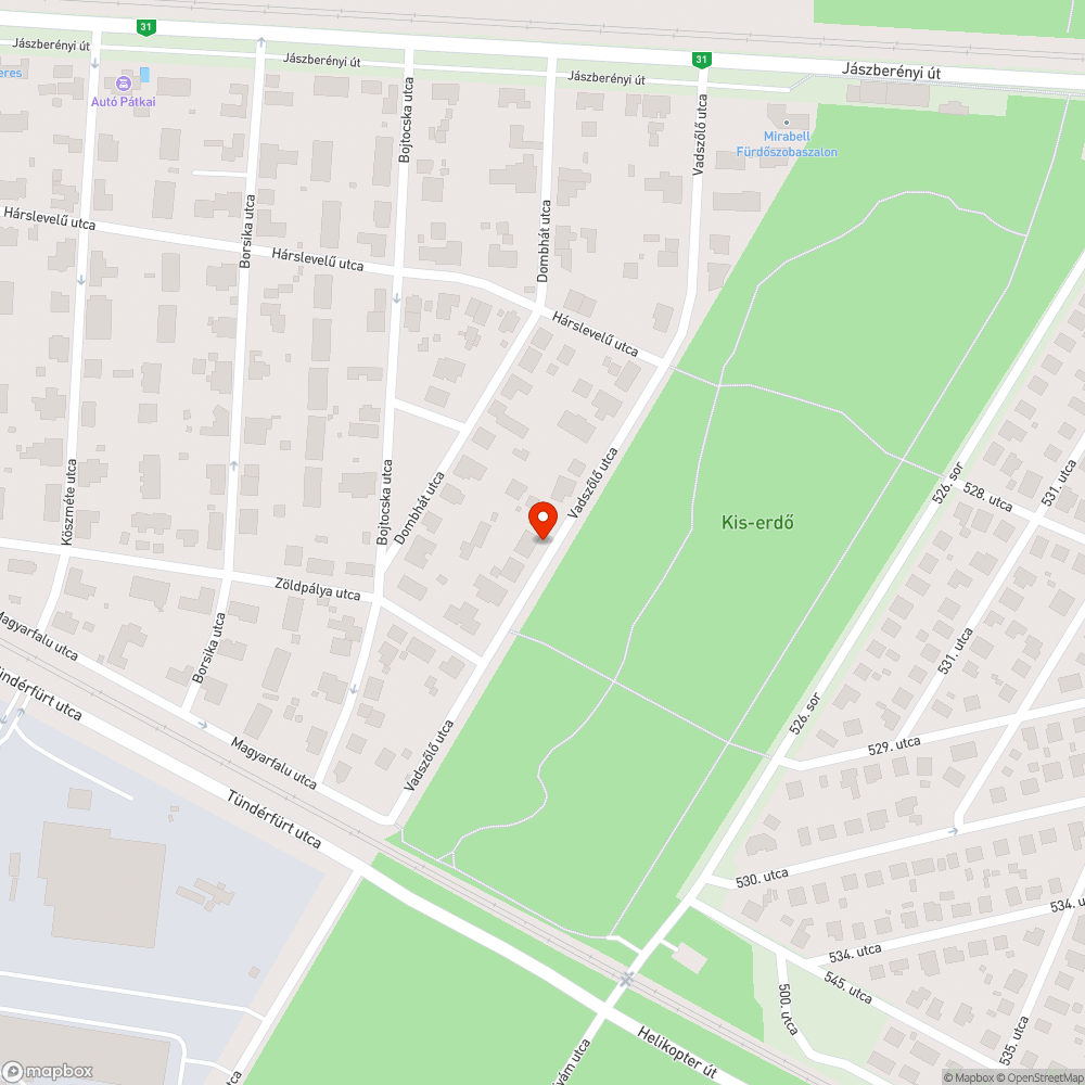 Vihar után 12 nappal kintfelejtett zöldhulladék 9. bejelentés helye