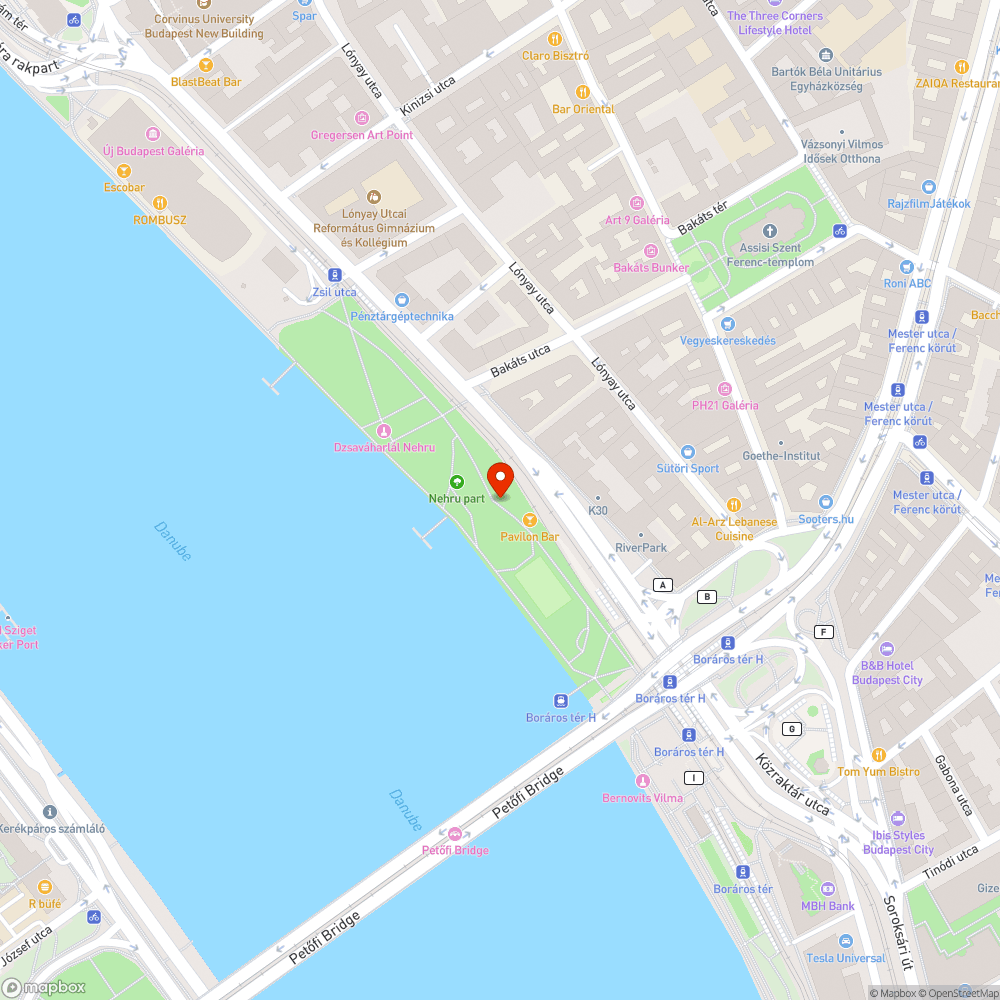 Patkányok a Nehru parti játszótéren. bejelentés helye