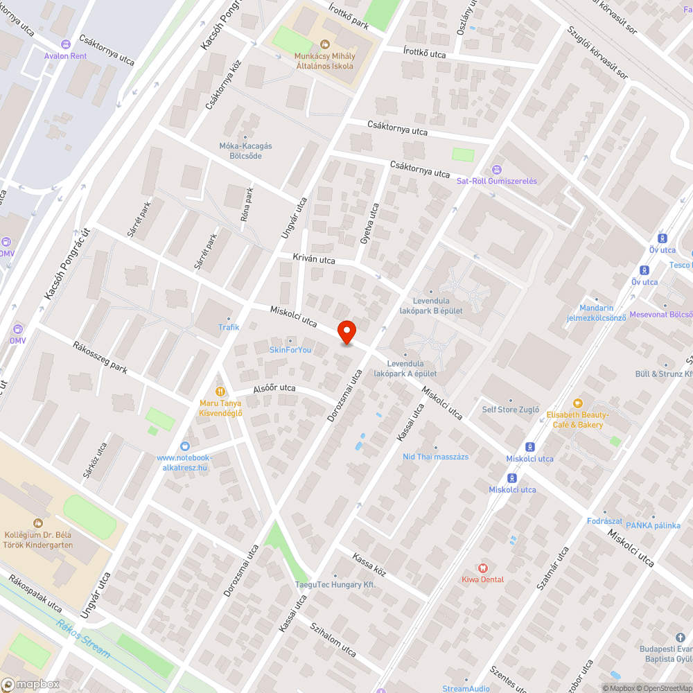 balesetveszélyes  bokor az út szélén! bejelentés helye