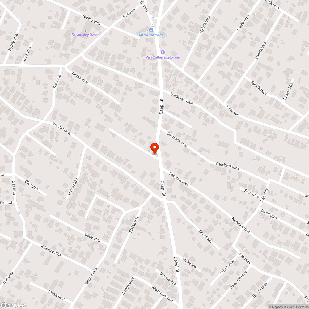 Esőzés utáni tócsák bejelentés helye