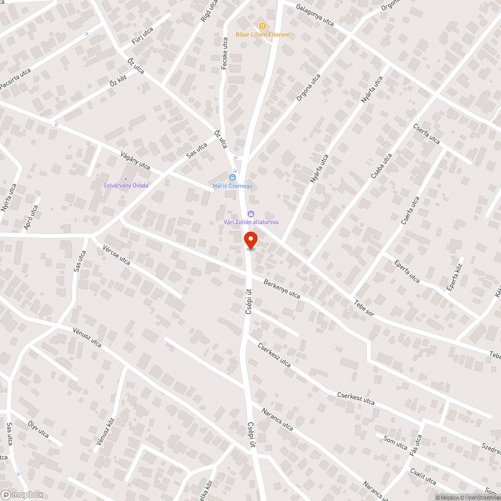 Járdára belógó gaz bejelentés helye