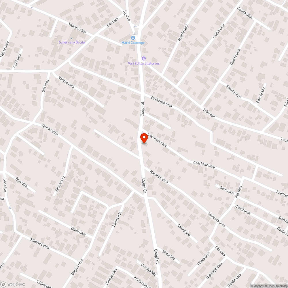 Kavicsos járda esőzés után bejelentés helye