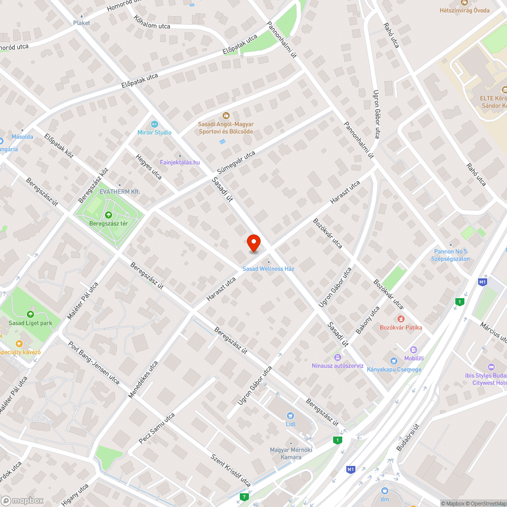 Haraszt - Sasadi utca egy zsák szemét bejelentés helye