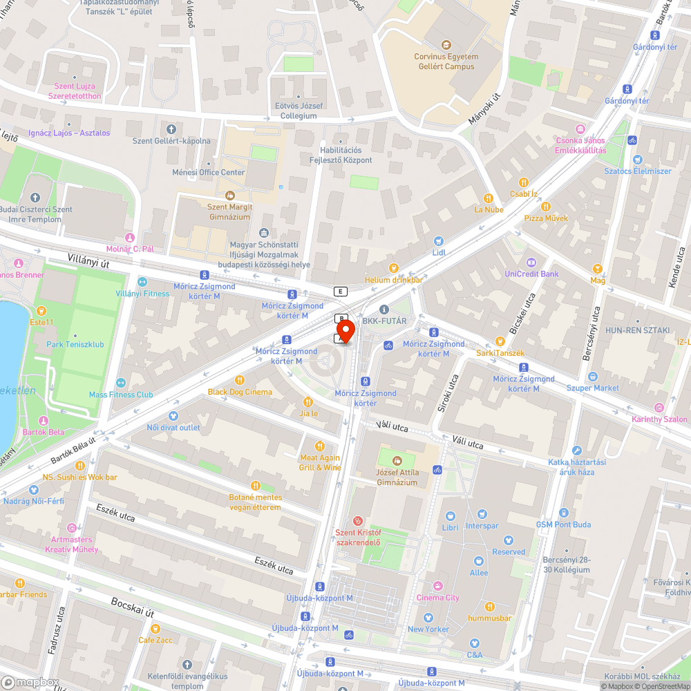 Nagy mennyiségű hulladék a Móricz Zsigmond körtéren bejelentés helye