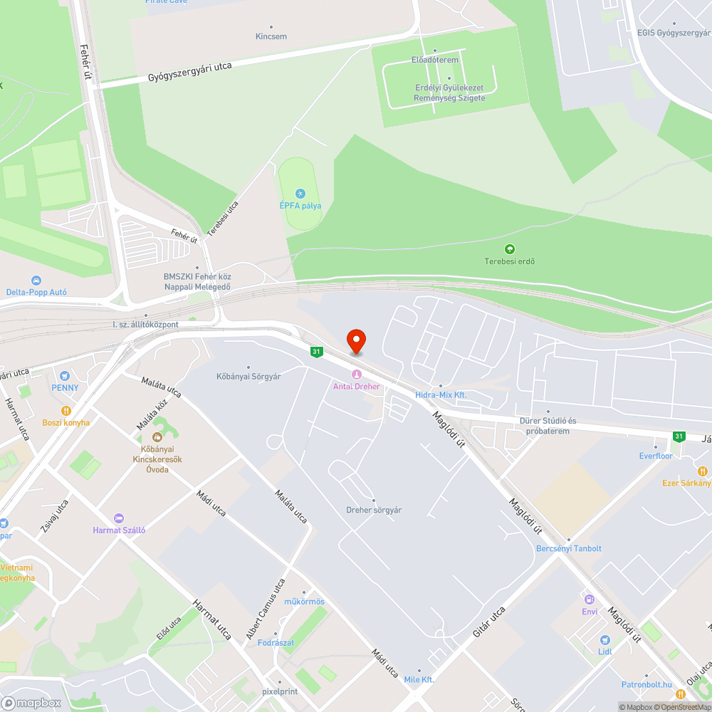 Gazzal benőtt, eldugult csatornaösszefolyók bejelentés helye