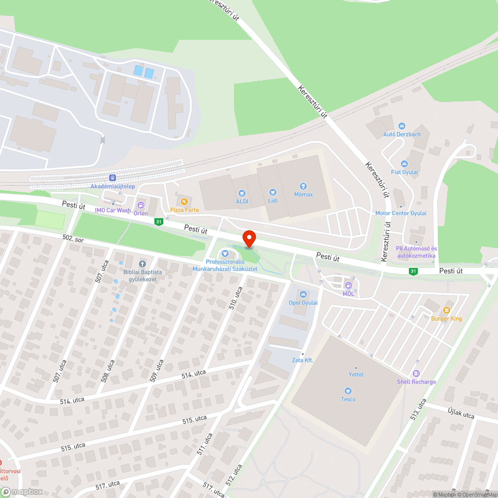 Összeszedetlen faágak bejelentés helye