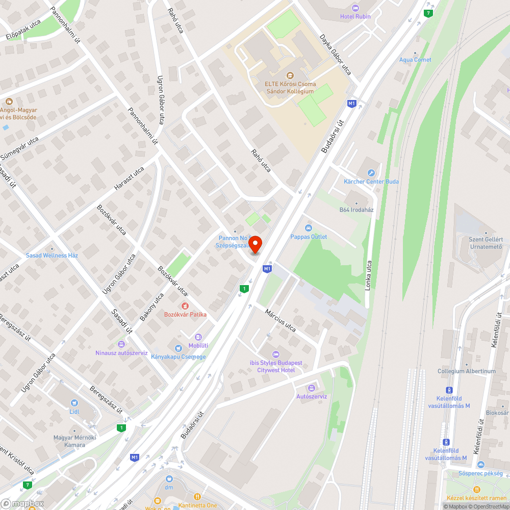 Teli szemetes Budaörsi úton (Pannonhalmi út. sarka) bejelentés helye