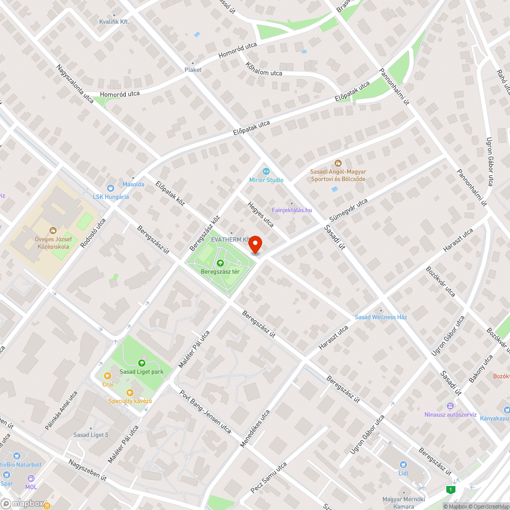 Sümegvár - Beregszász kavics az úttesten bejelentés helye