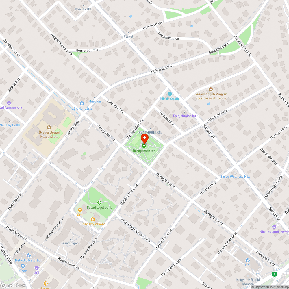 Tigrisszúnyog Beregszász tér, Bohócos játszótér bejelentés helye