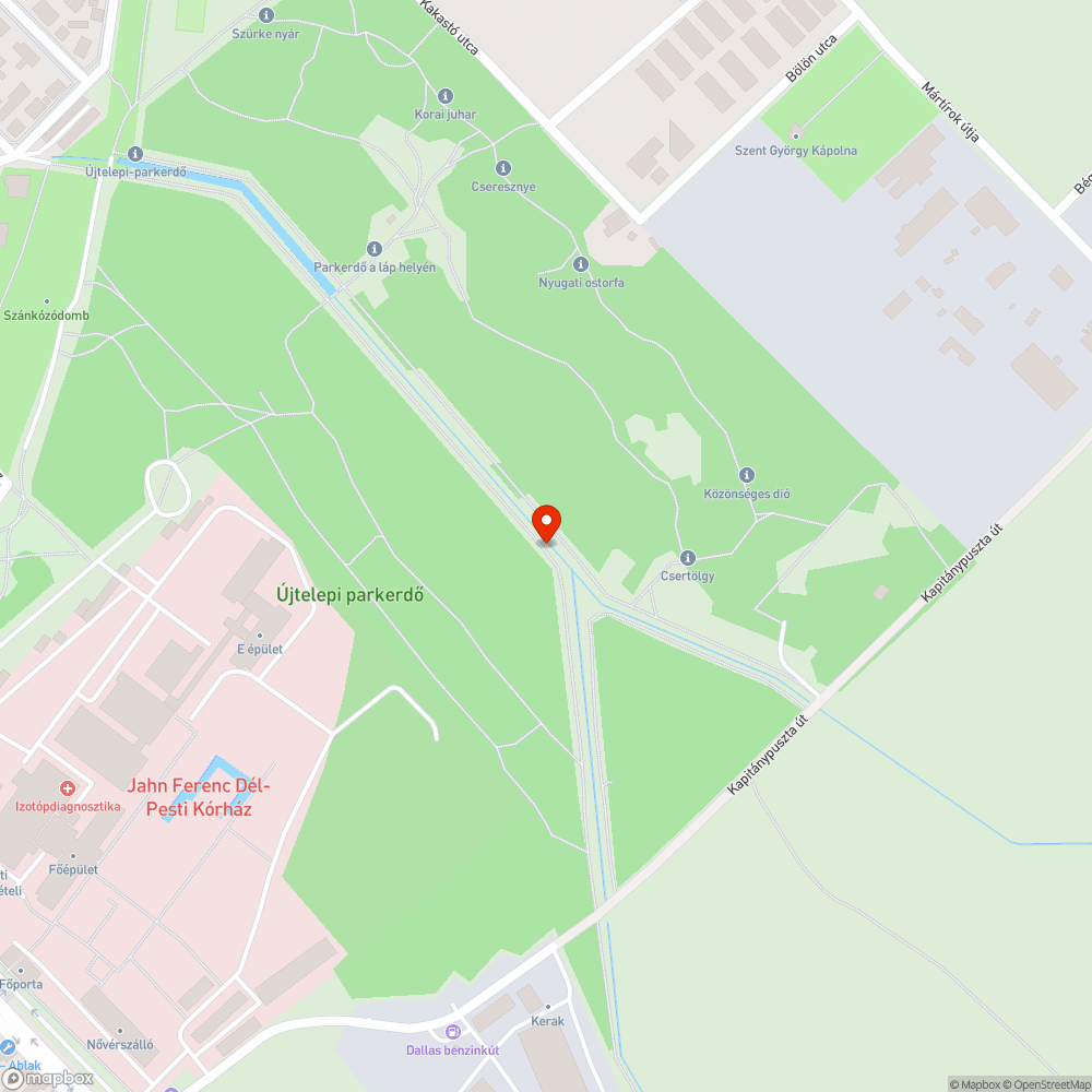 Kidőlt fák bejelentés helye