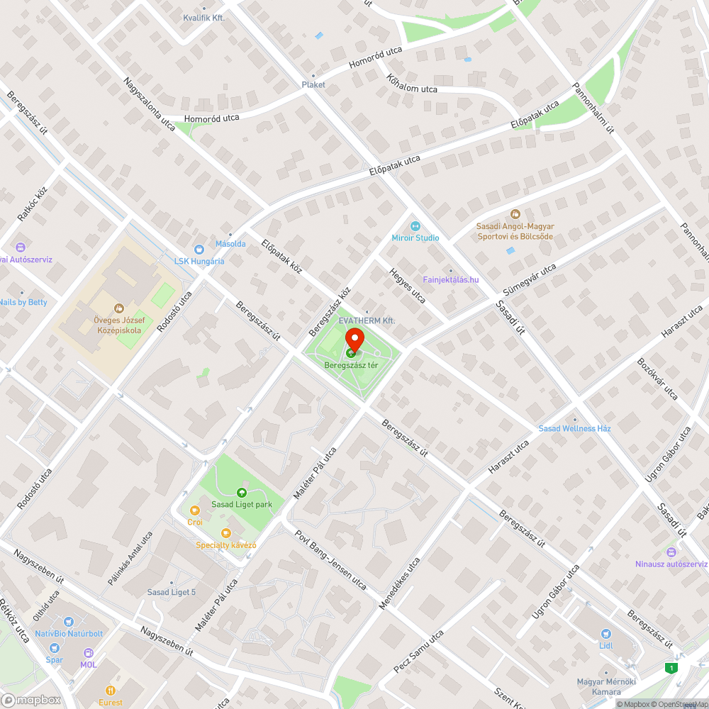 Beregszász tér kiszáradt fa bejelentés helye