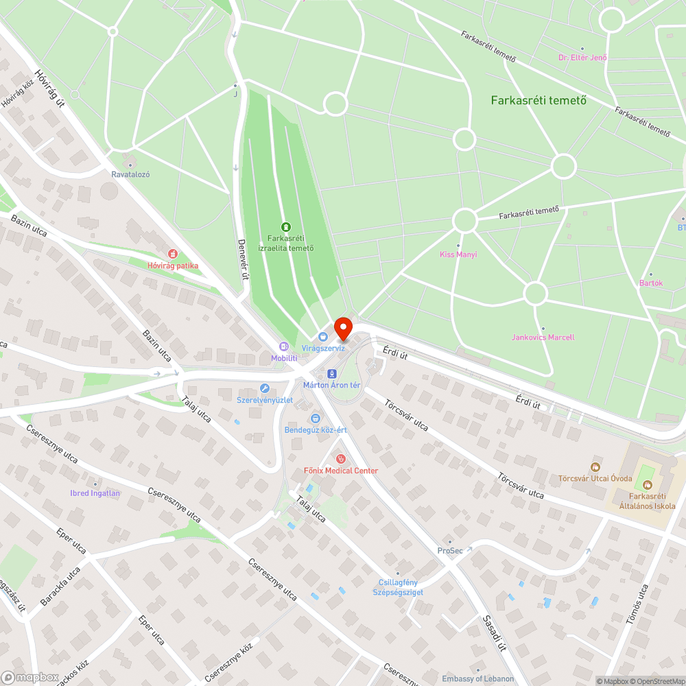 Futár kijelző a Márton Áron téren bejelentés helye