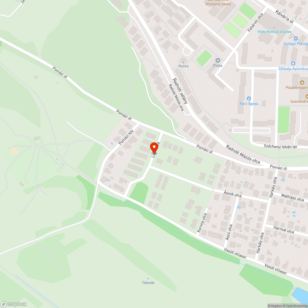 Liget utca szinte járhatatlan. bejelentés helye