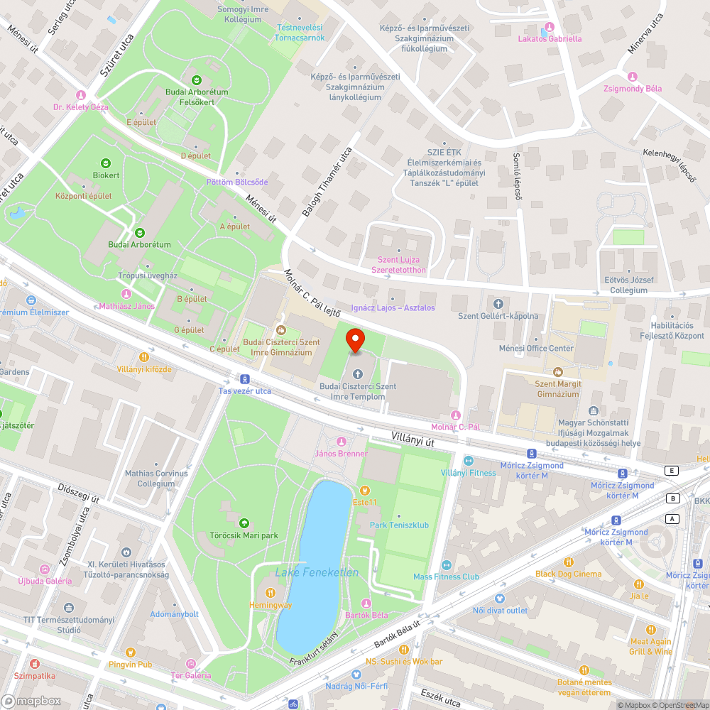 Kiszáradt fa bejelentés helye