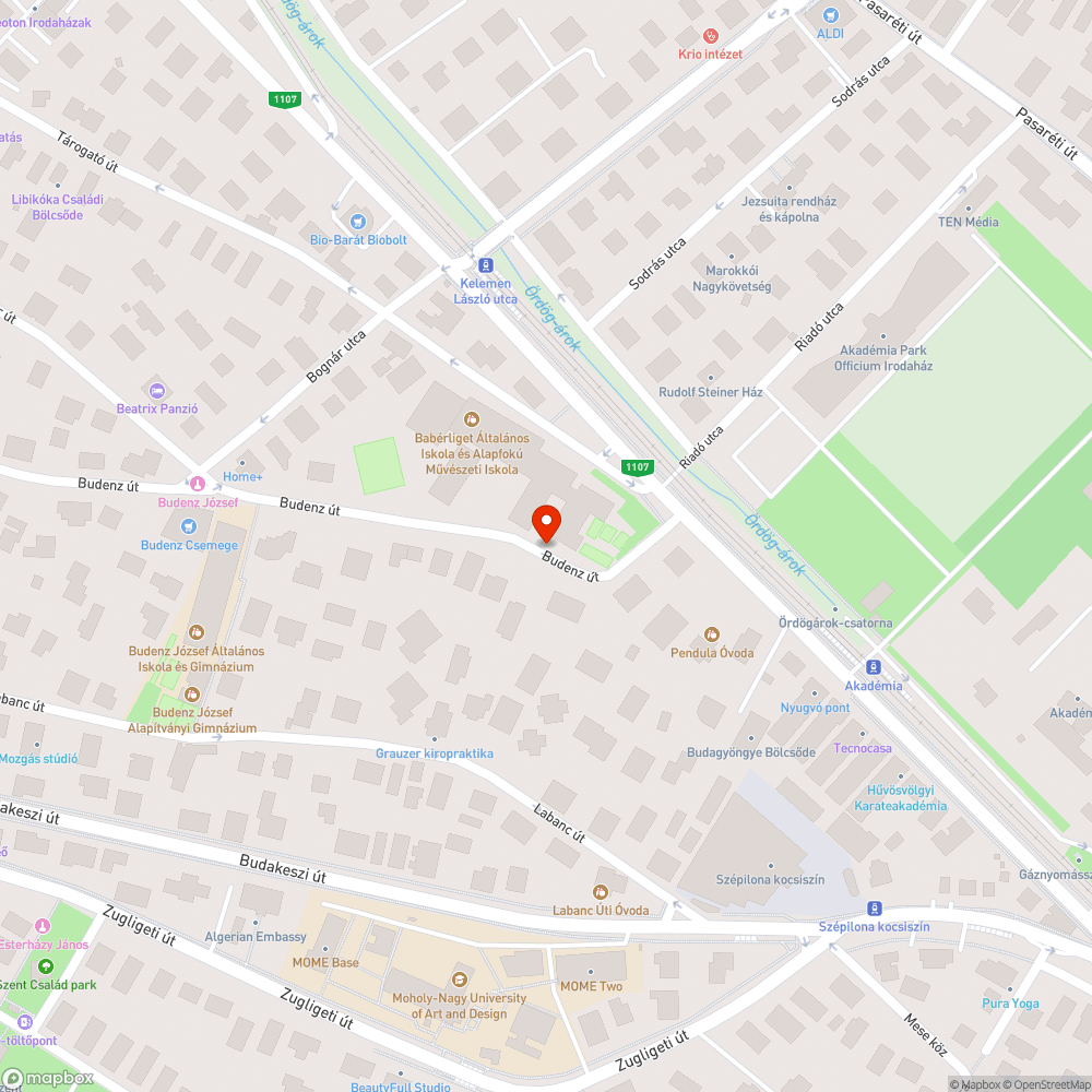 Elpusztult Bogár a Budenz végén bejelentés helye