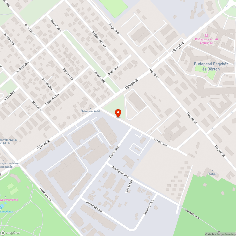 Elhanyagolt, gyommal és szeméttel borított útszakasz. bejelentés helye